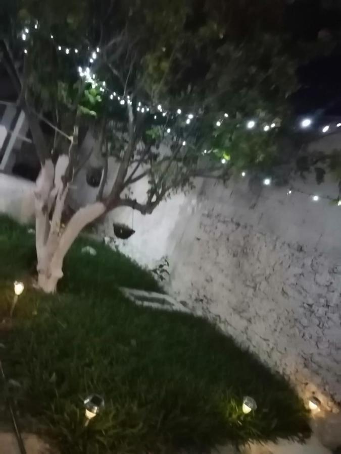 Cobas Departamentos Apartment Merida Bagian luar foto
