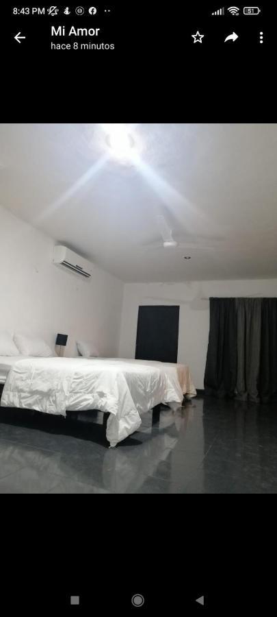 Cobas Departamentos Apartment Merida Bagian luar foto